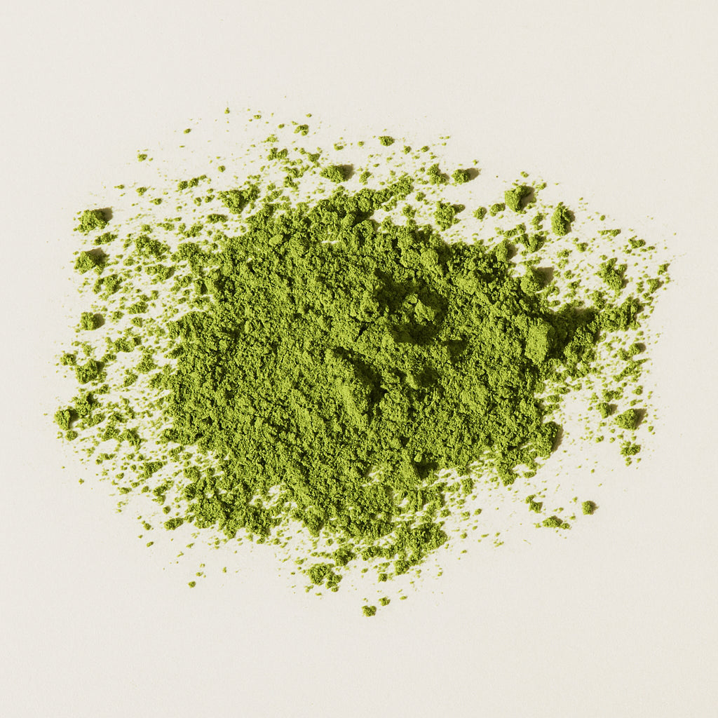 Thé Matcha Cérémonie Bio