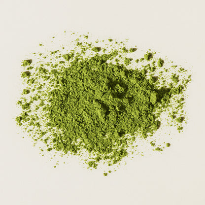 Thé Matcha Cérémonie Bio